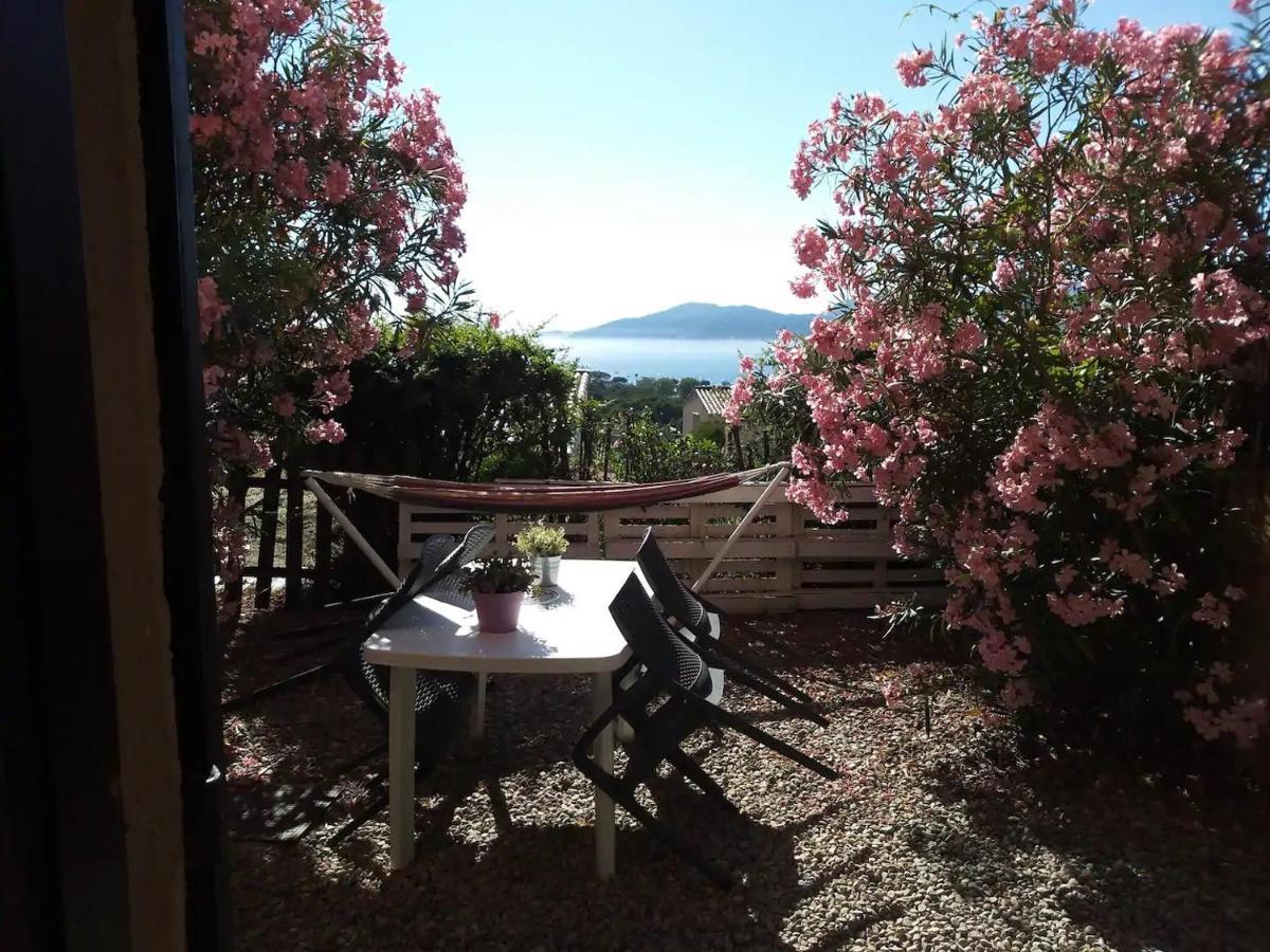 Studio Jardin A Porticcio, Proche Aeroport Ajaccio Apartment Porticcio  Exterior photo
